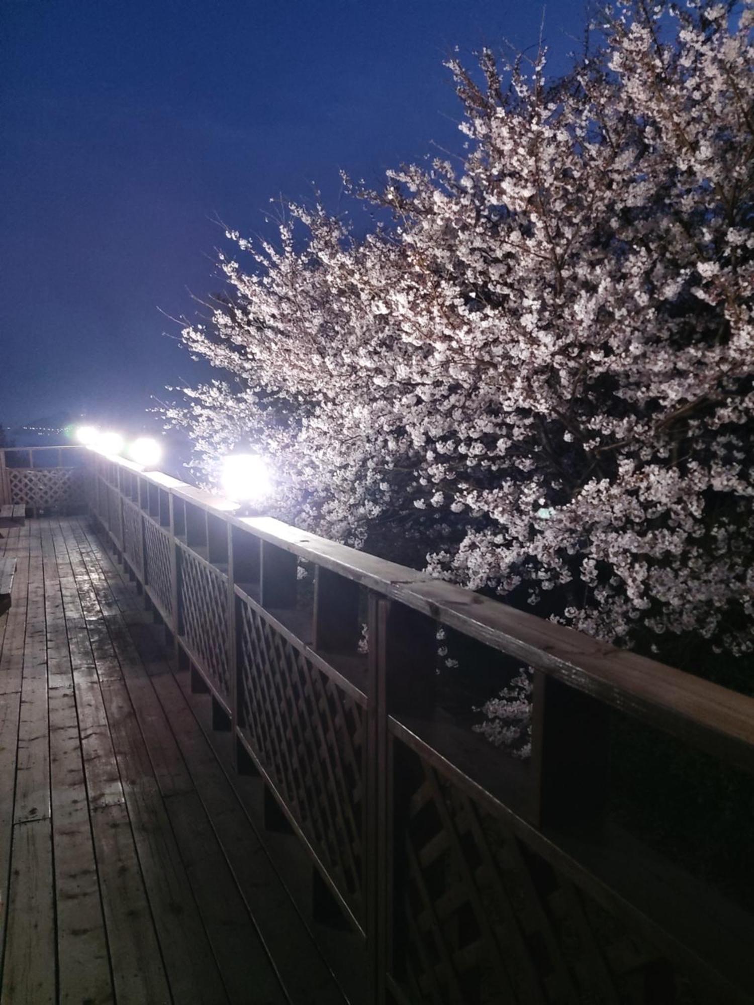 Hotel White House Namhae Zewnętrze zdjęcie