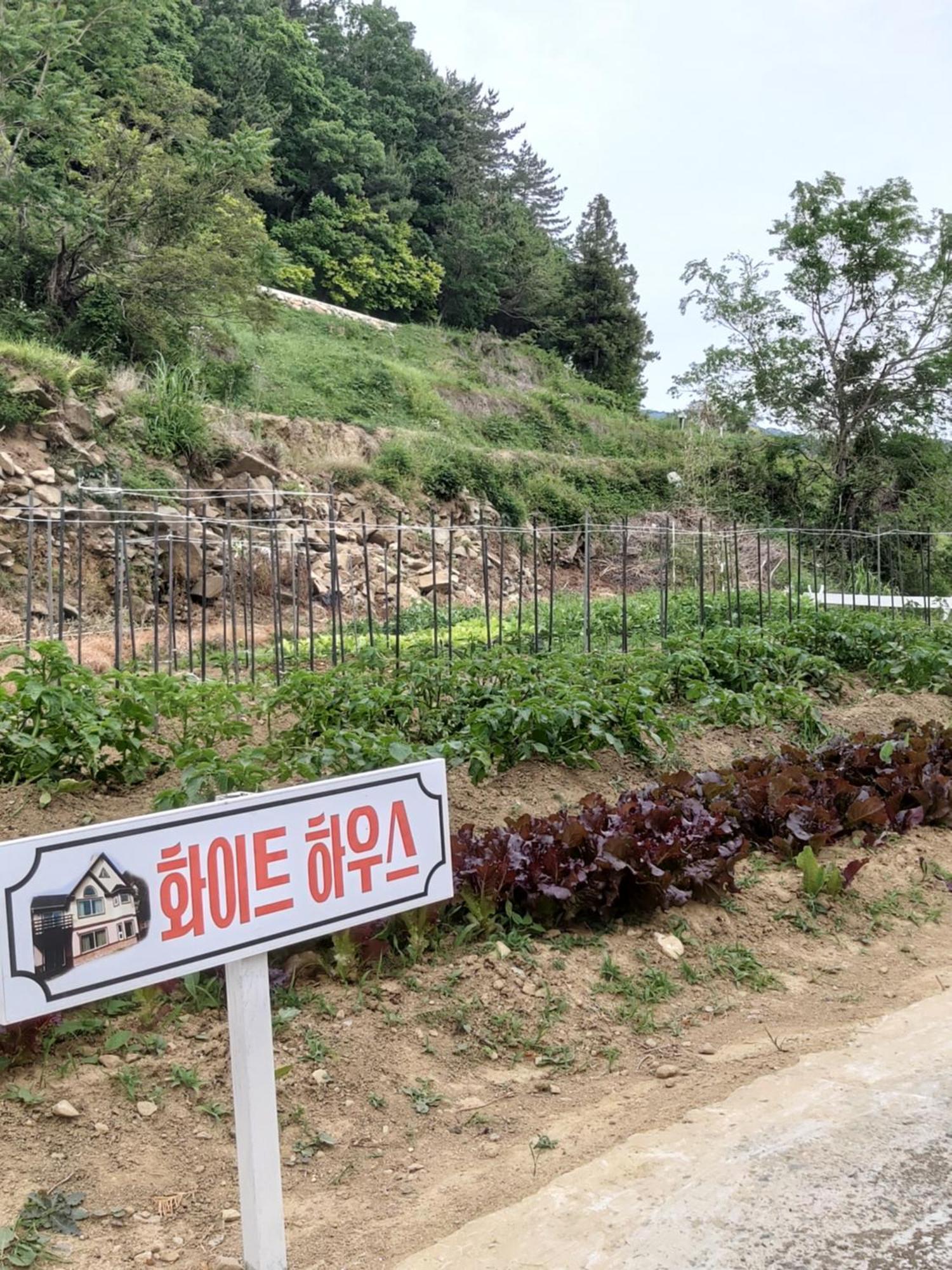 Hotel White House Namhae Zewnętrze zdjęcie