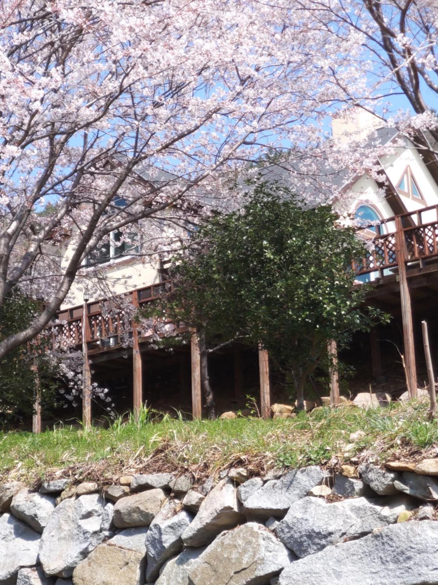 Hotel White House Namhae Zewnętrze zdjęcie